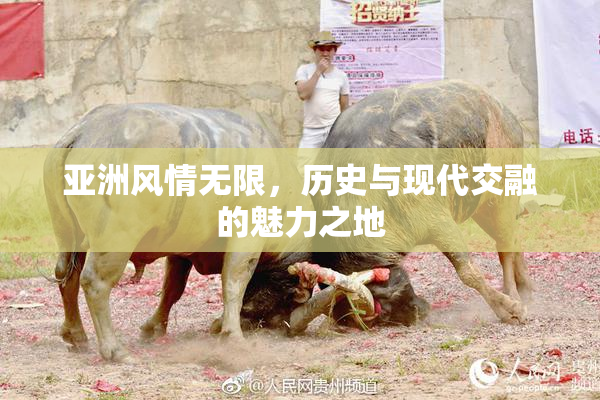 亚洲风情无限，历史与现代交融的魅力之地