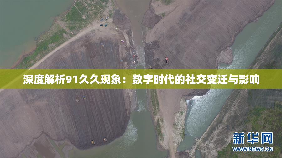 深度解析91久久现象：数字时代的社交变迁与影响