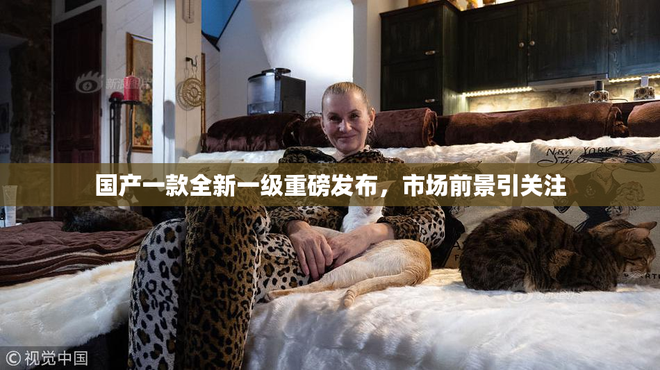 国产一款全新一级重磅发布，市场前景引关注