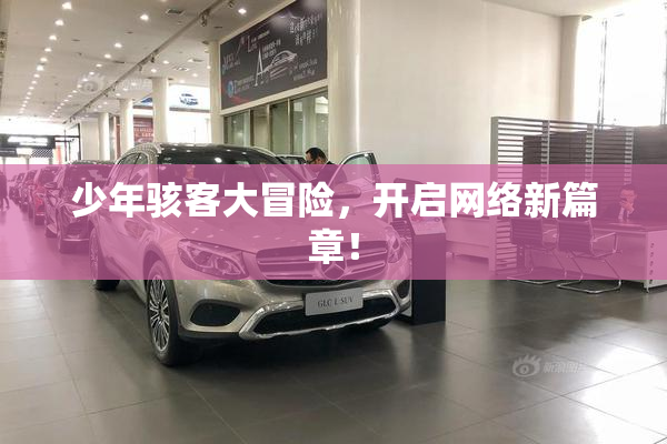 少年骇客大冒险，开启网络新篇章！