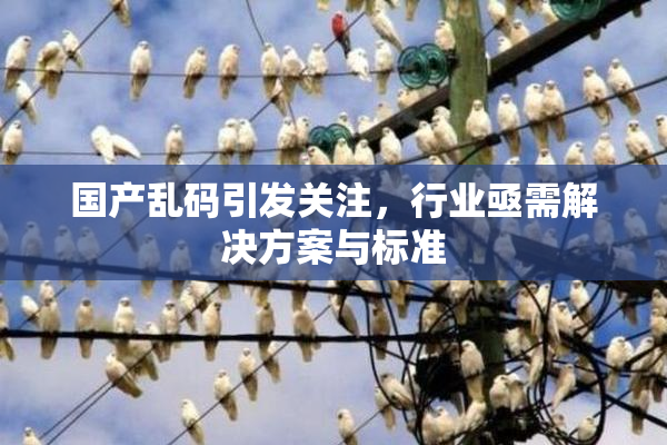 国产乱码引发关注，行业亟需解决方案与标准