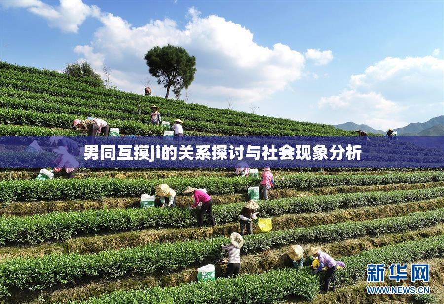 男同互摸ji的关系探讨与社会现象分析