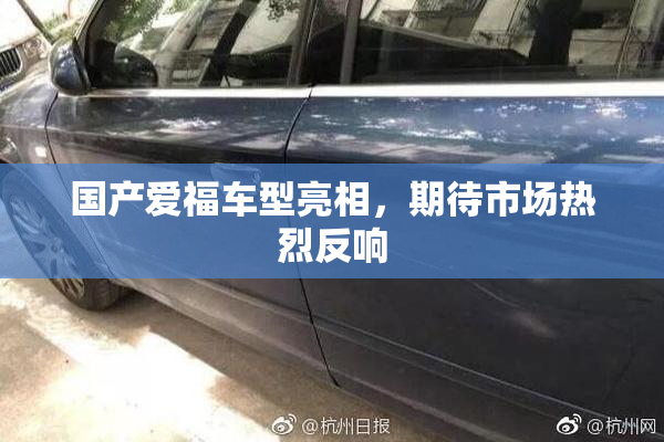国产爱福车型亮相，期待市场热烈反响