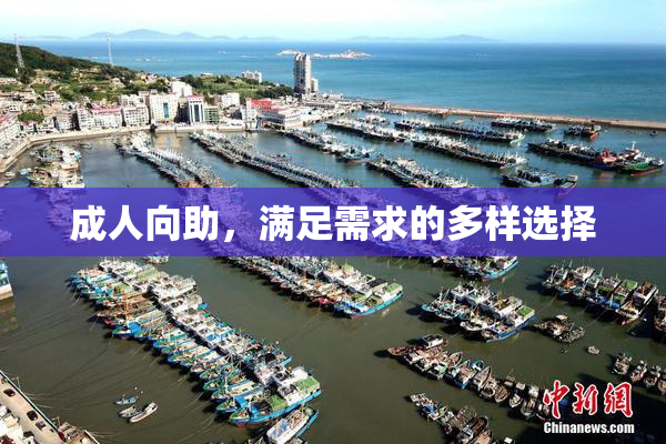 成人向助，满足需求的多样选择
