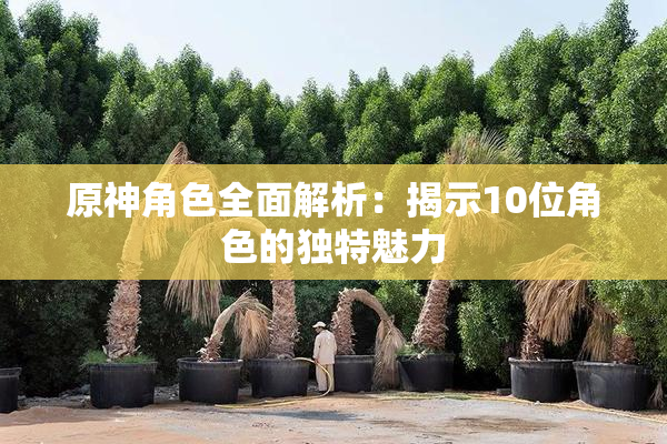 原神角色全面解析：揭示10位角色的独特魅力