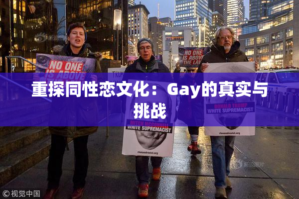 重探同性恋文化：Gay的真实与挑战