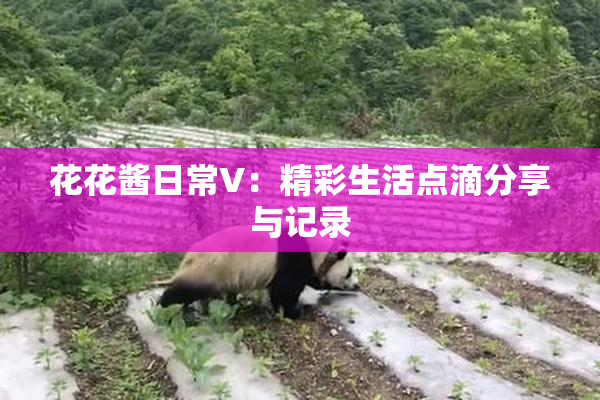花花酱日常V：精彩生活点滴分享与记录