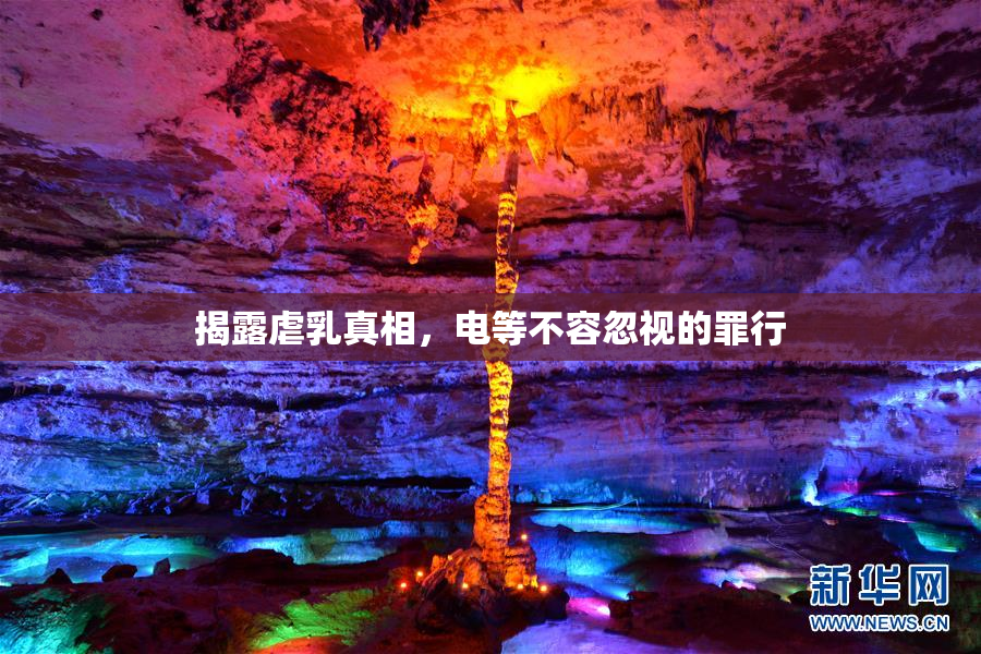 揭露虐乳真相，电等不容忽视的罪行