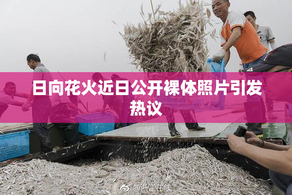 日向花火近日公开裸体照片引发热议