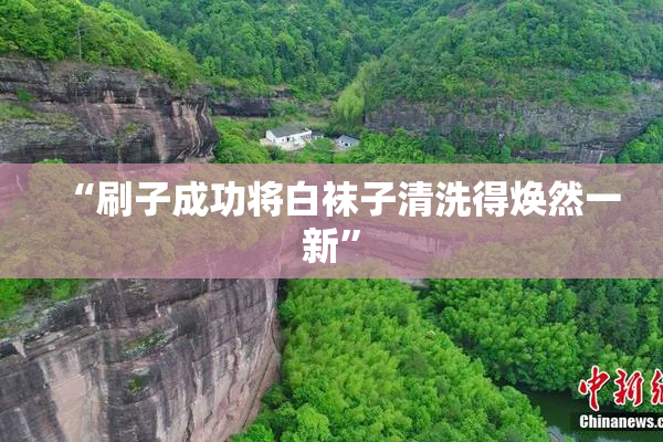 “刷子成功将白袜子清洗得焕然一新”