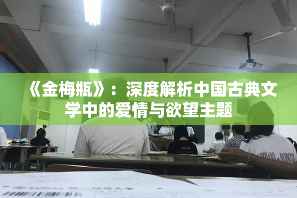 《金梅瓶》：深度解析中国古典文学中的爱情与欲望主题