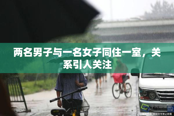 两名男子与一名女子同住一室，关系引人关注