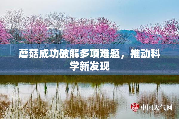蘑菇成功破解多项难题，推动科学新发现