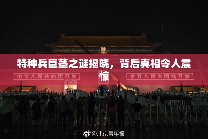 特种兵巨茎之谜揭晓，背后真相令人震惊