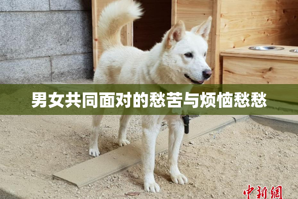 男女共同面对的愁苦与烦恼愁愁