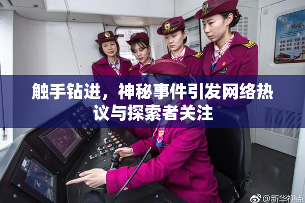 触手钻进，神秘事件引发网络热议与探索者关注