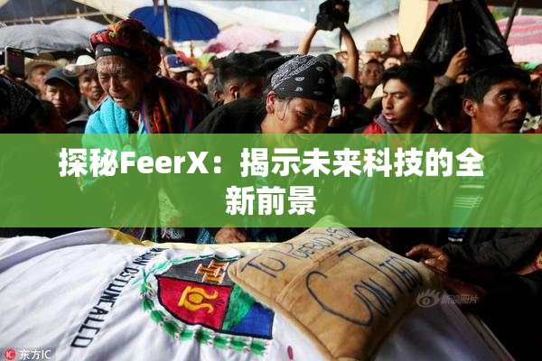 探秘FeerX：揭示未来科技的全新前景