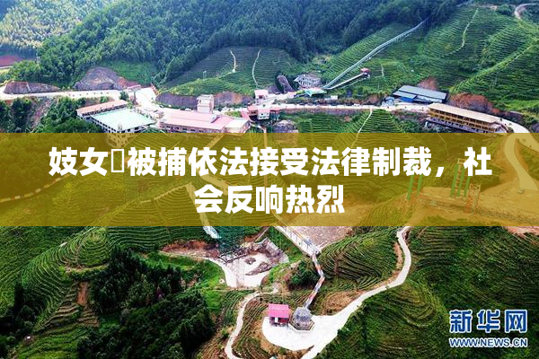 妓女梱被捕依法接受法律制裁，社会反响热烈