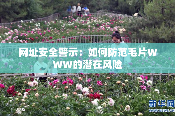 网址安全警示：如何防范毛片WWW的潜在风险