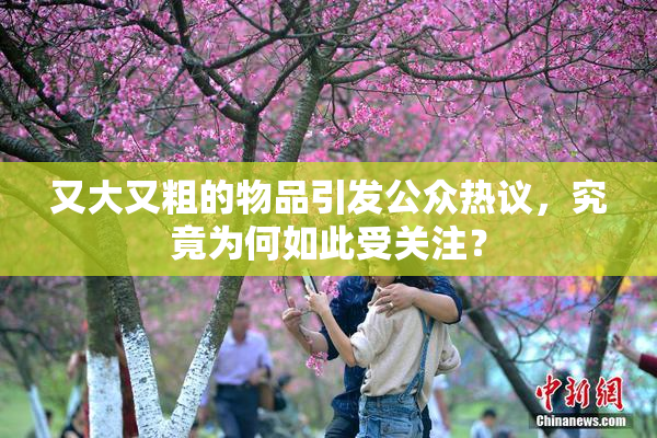 又大又粗的物品引发公众热议，究竟为何如此受关注？