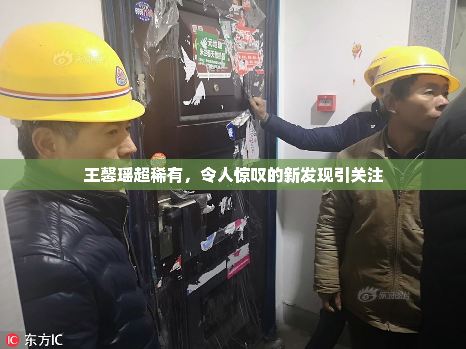 王馨瑶超稀有，令人惊叹的新发现引关注