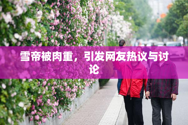 雪帝被肉重，引发网友热议与讨论