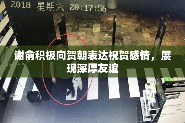 谢俞积极向贺朝表达祝贺感情，展现深厚友谊