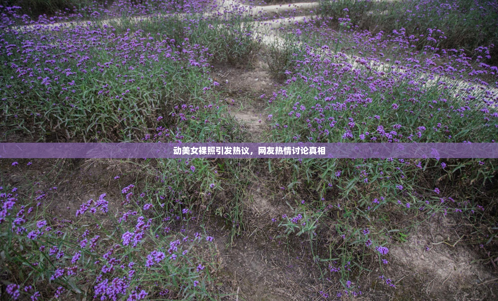 动美女裸照引发热议，网友热情讨论真相