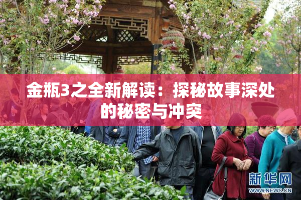 金瓶3之全新解读：探秘故事深处的秘密与冲突