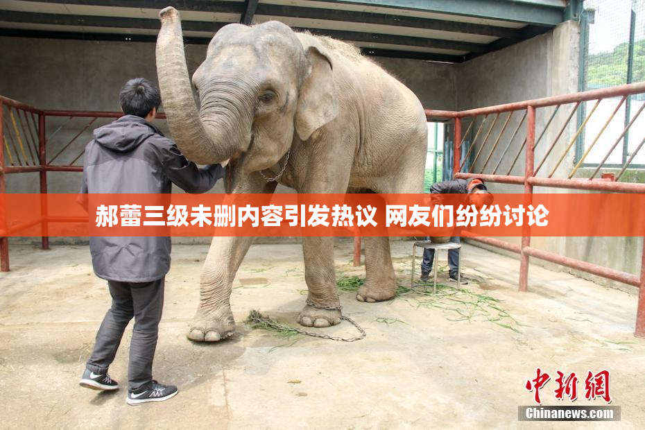 郝蕾三级未删内容引发热议 网友们纷纷讨论