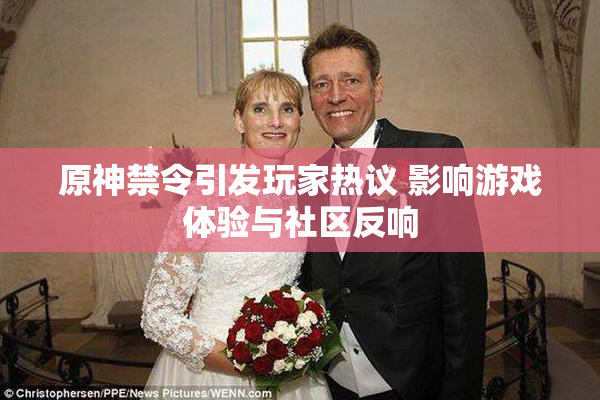 原神禁令引发玩家热议 影响游戏体验与社区反响