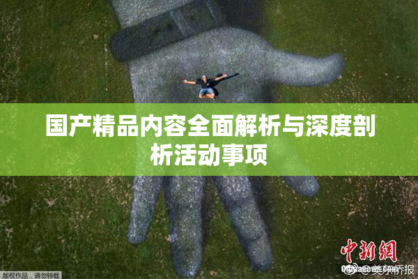 国产精品内容全面解析与深度剖析活动事项