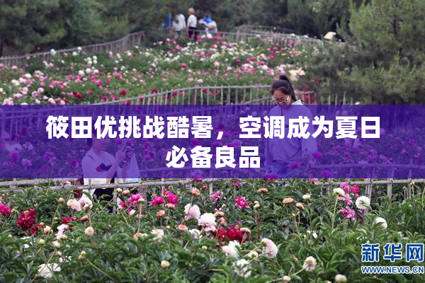 筱田优挑战酷暑，空调成为夏日必备良品