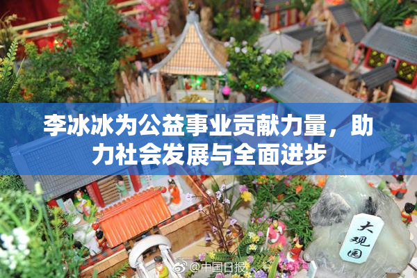 李冰冰为公益事业贡献力量，助力社会发展与全面进步