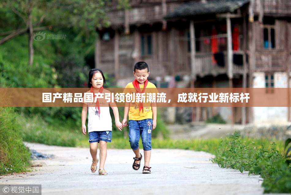 国产精品国产引领创新潮流，成就行业新标杆
