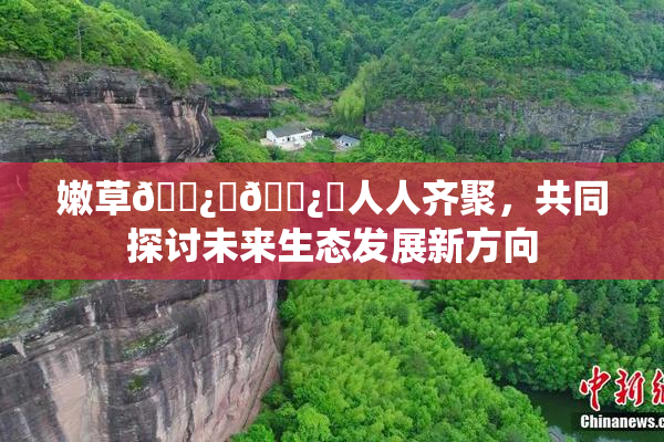 嫩草🌿‌🌿‌人人齐聚，共同探讨未来生态发展新方向
