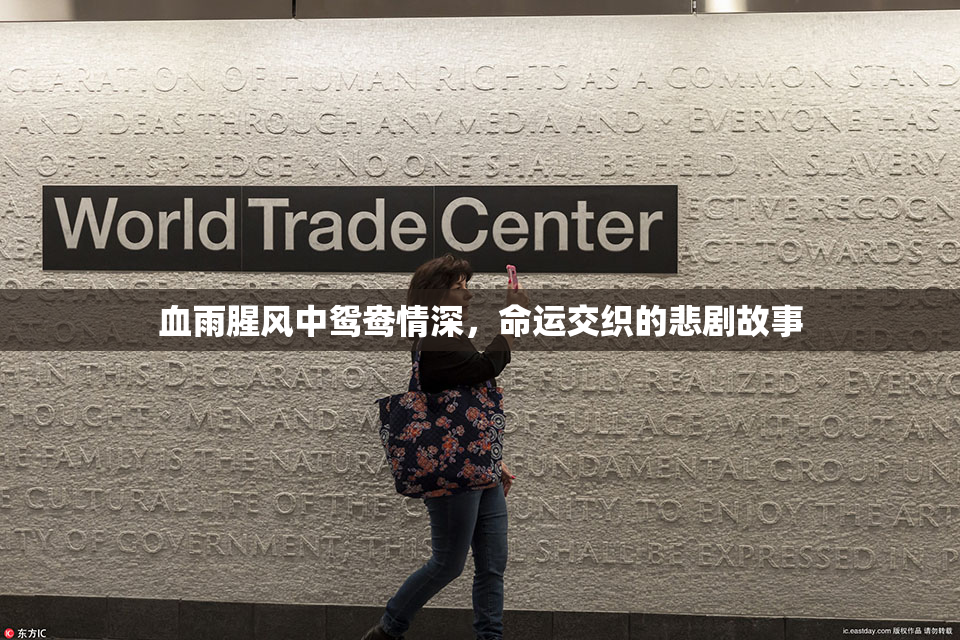 血雨腥风中鸳鸯情深，命运交织的悲剧故事