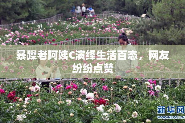 暴躁老阿姨C演绎生活百态，网友纷纷点赞
