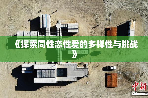 《探索同性恋性爱的多样性与挑战》