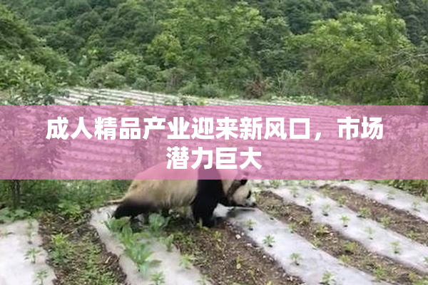 成人精品产业迎来新风口，市场潜力巨大