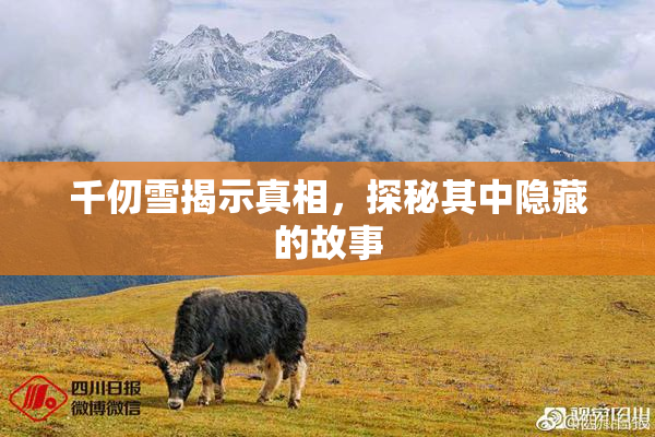 千仞雪揭示真相，探秘其中隐藏的故事
