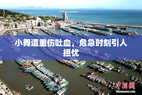 小舞遭重伤吐血，危急时刻引人担忧