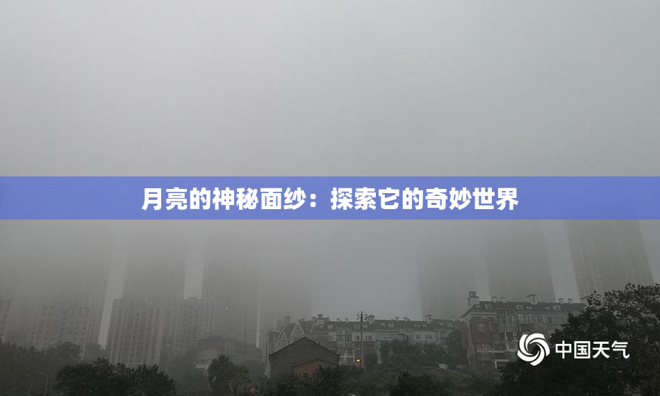 月亮的神秘面纱：探索它的奇妙世界