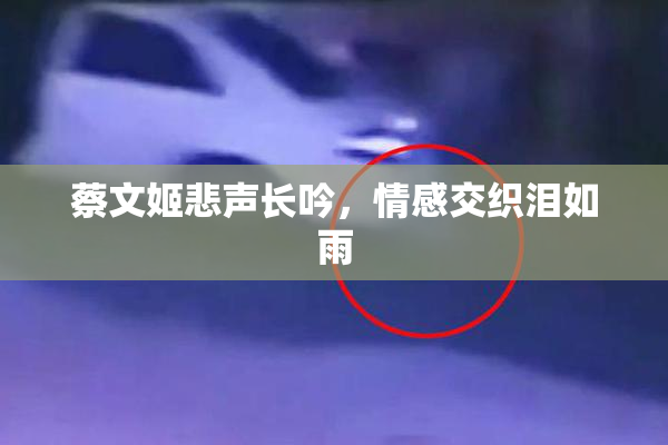 蔡文姬悲声长吟，情感交织泪如雨