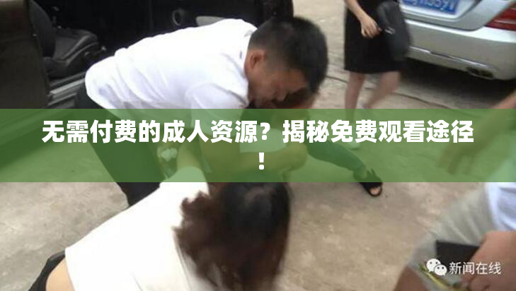 无需付费的成人资源？揭秘免费观看途径！