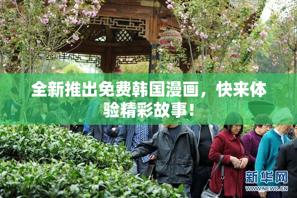 全新推出免费韩国漫画，快来体验精彩故事！
