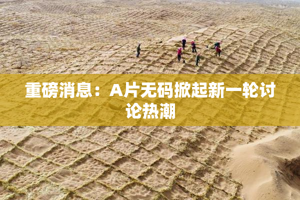 重磅消息：A片无码掀起新一轮讨论热潮