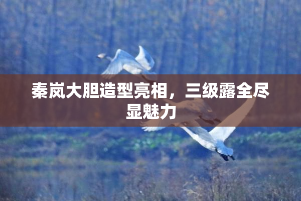 秦岚大胆造型亮相，三级露全尽显魅力