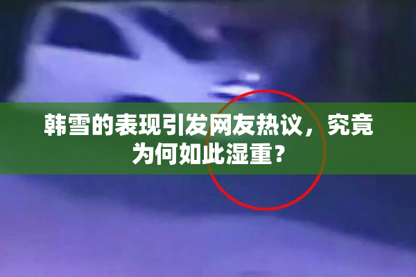 韩雪的表现引发网友热议，究竟为何如此湿重？