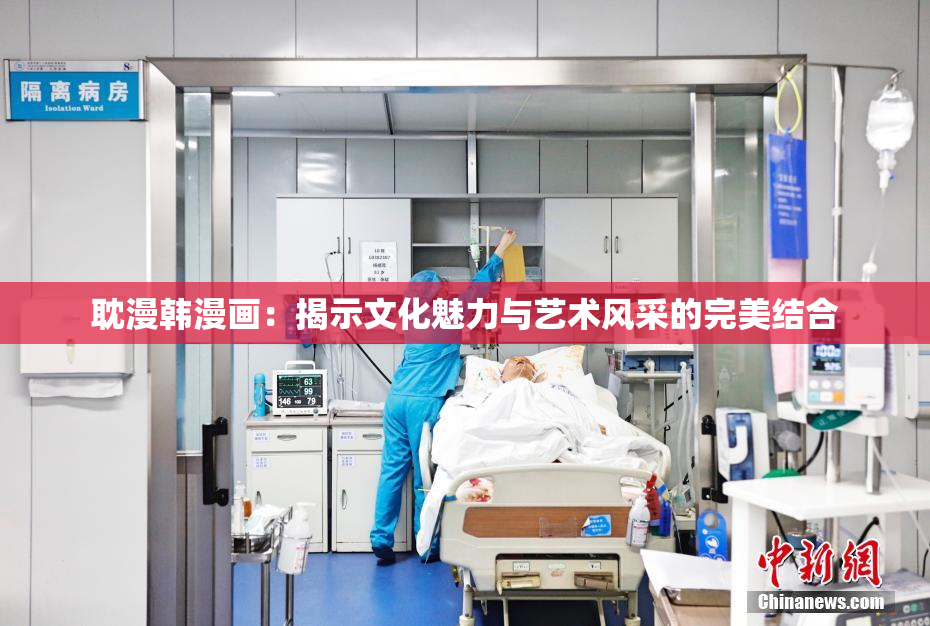 耽漫韩漫画：揭示文化魅力与艺术风采的完美结合